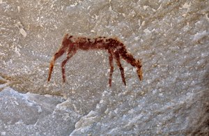 Dipinto rupestre dei San, Cedarburg, Western Cape da Unknown